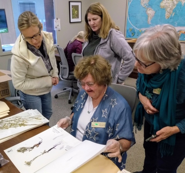 BPTMN members volunteer at BRIT
